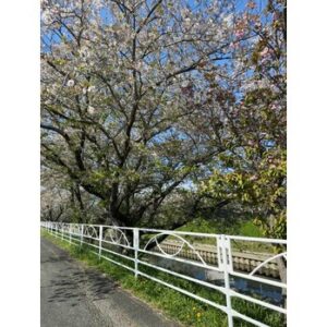 気づけば春も終盤。髪、整ってますか？ | BOOST men's hair salon | 浜松市の本格派メンズヘアサロン