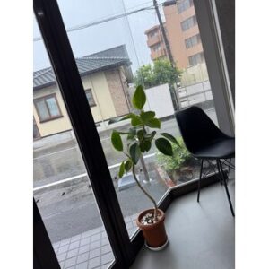 梅雨対策は今がベスト！広がり・うねりを抑える髪へ | BOOST men's hair salon | 浜松市の本格派メンズヘアサロン